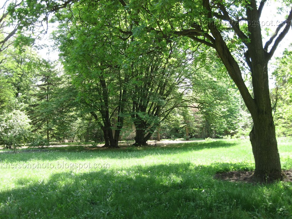 Аскания Нова (Ascania Nova) дендропарк, май 2012 г.