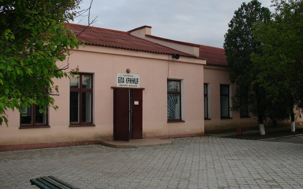Lepetykha