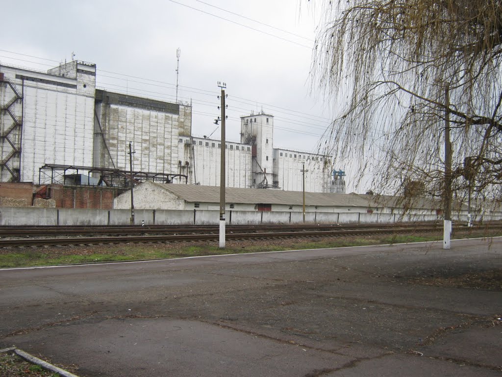 Элеваторы и перрон