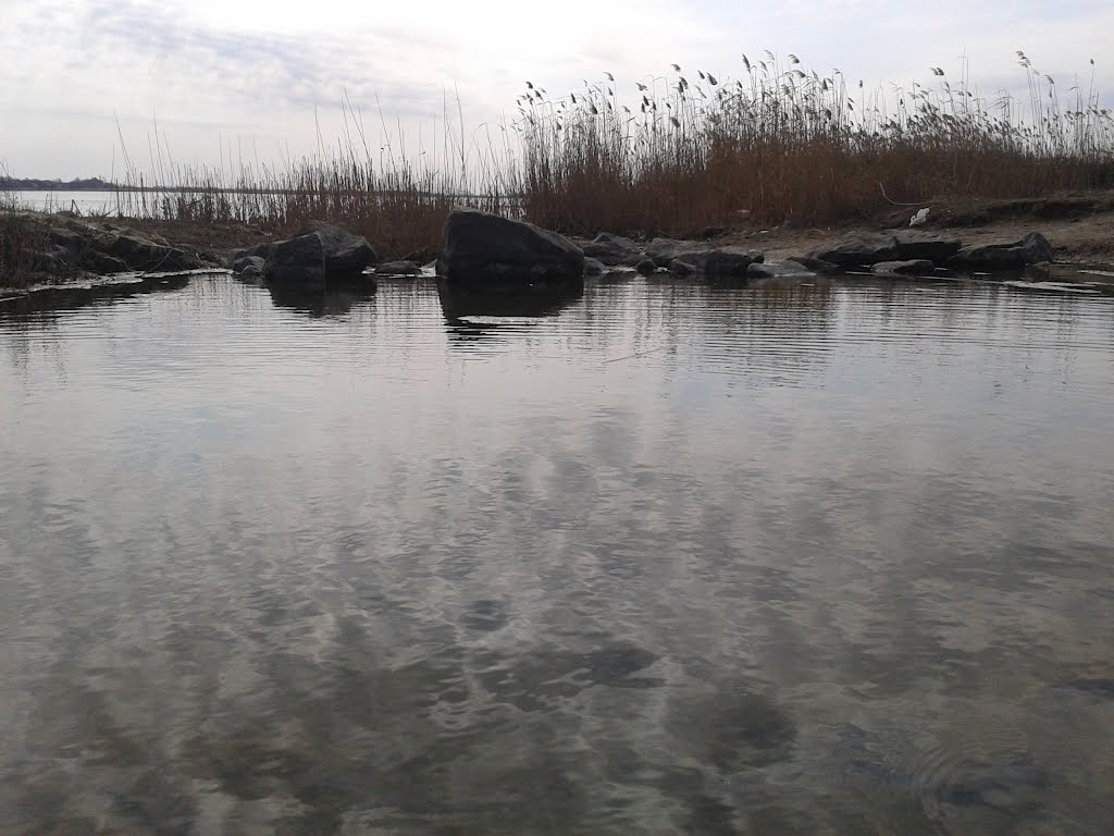 Родник в Белозерке
