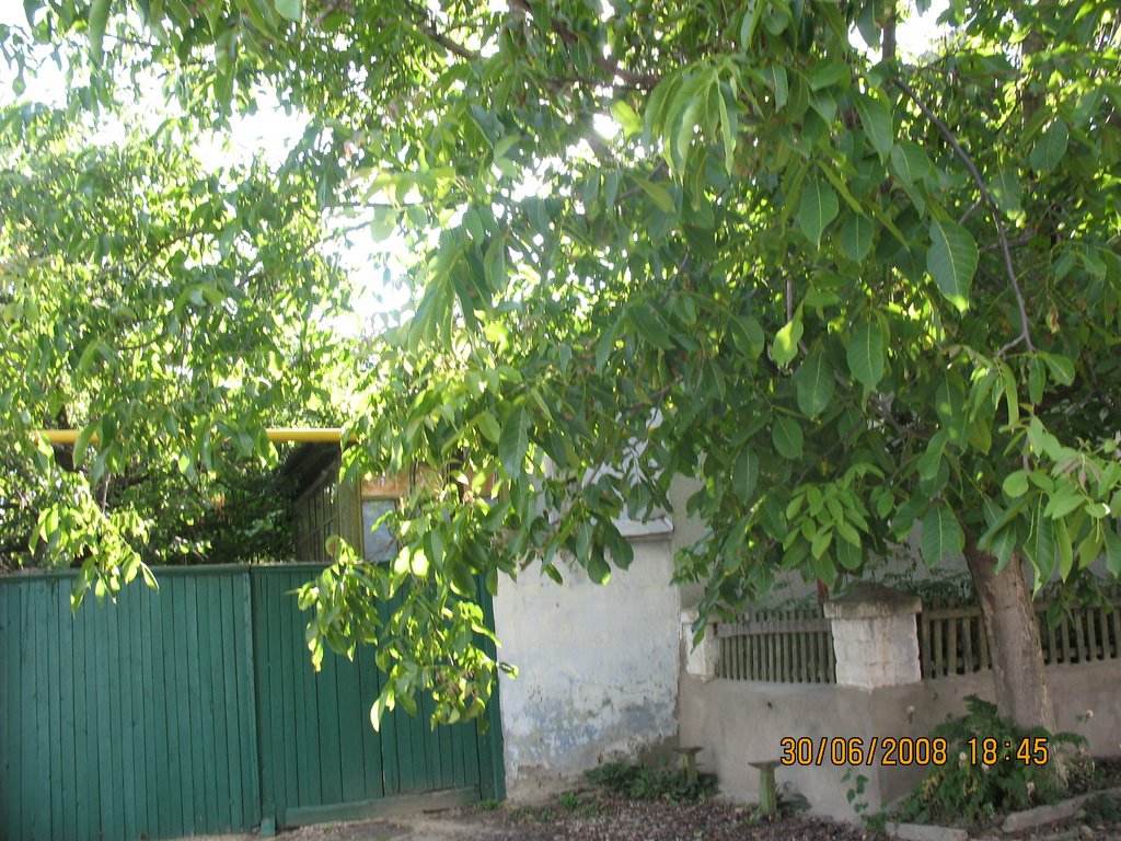 Berislav, Street Ovrazhnaja