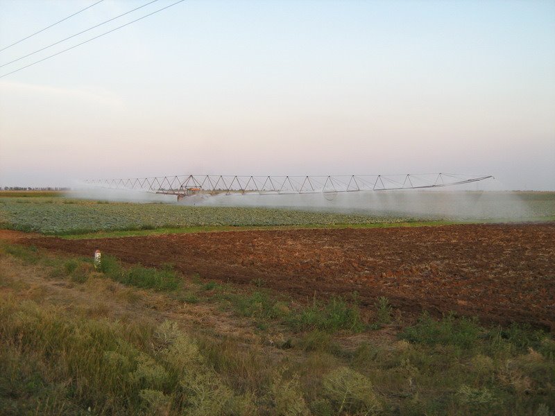 Novokrymskoye