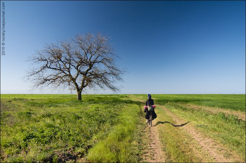 Steppe
