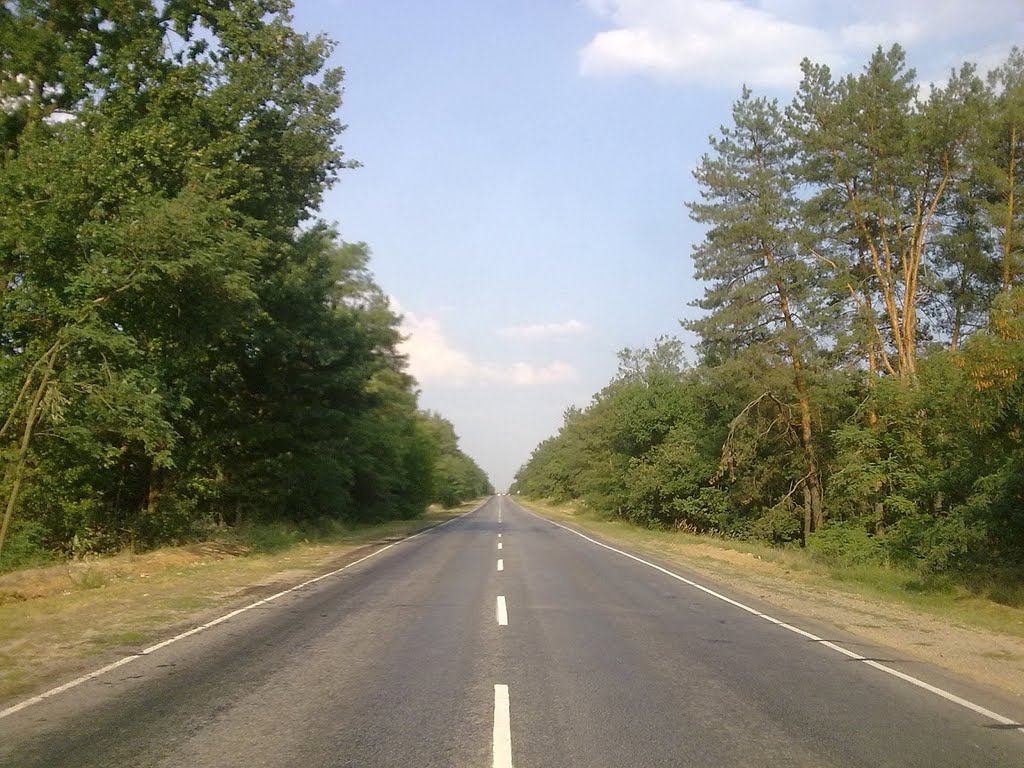 E58