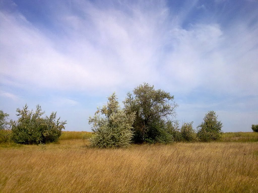 meadows
