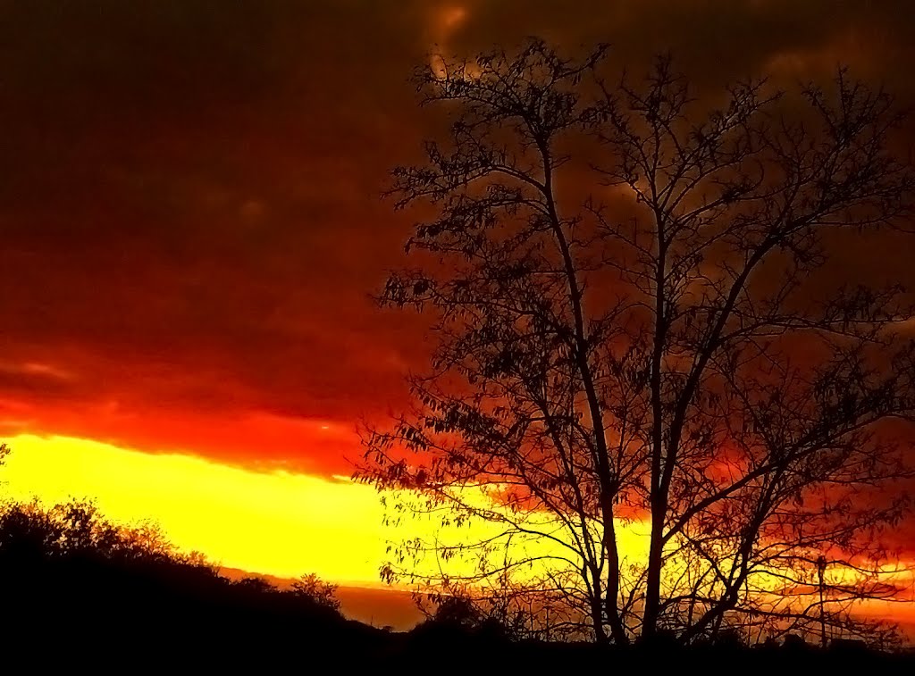 November sunset