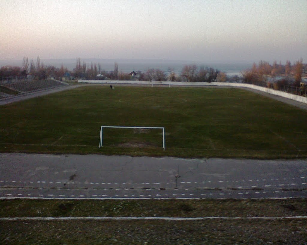 Арена