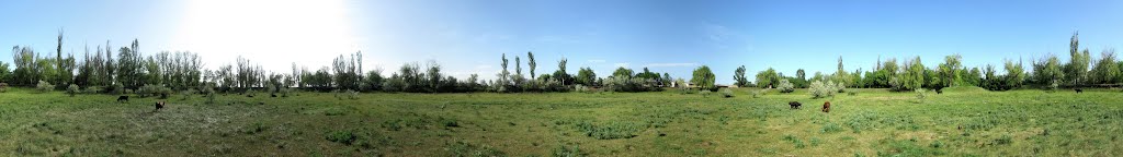 Панорама 360 №16: Сухий ставок на 5