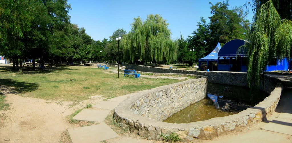 В парке летом 2011г.