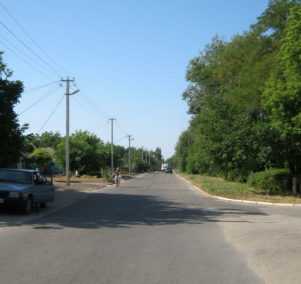 На проспекте Мира (рядом с больницей)