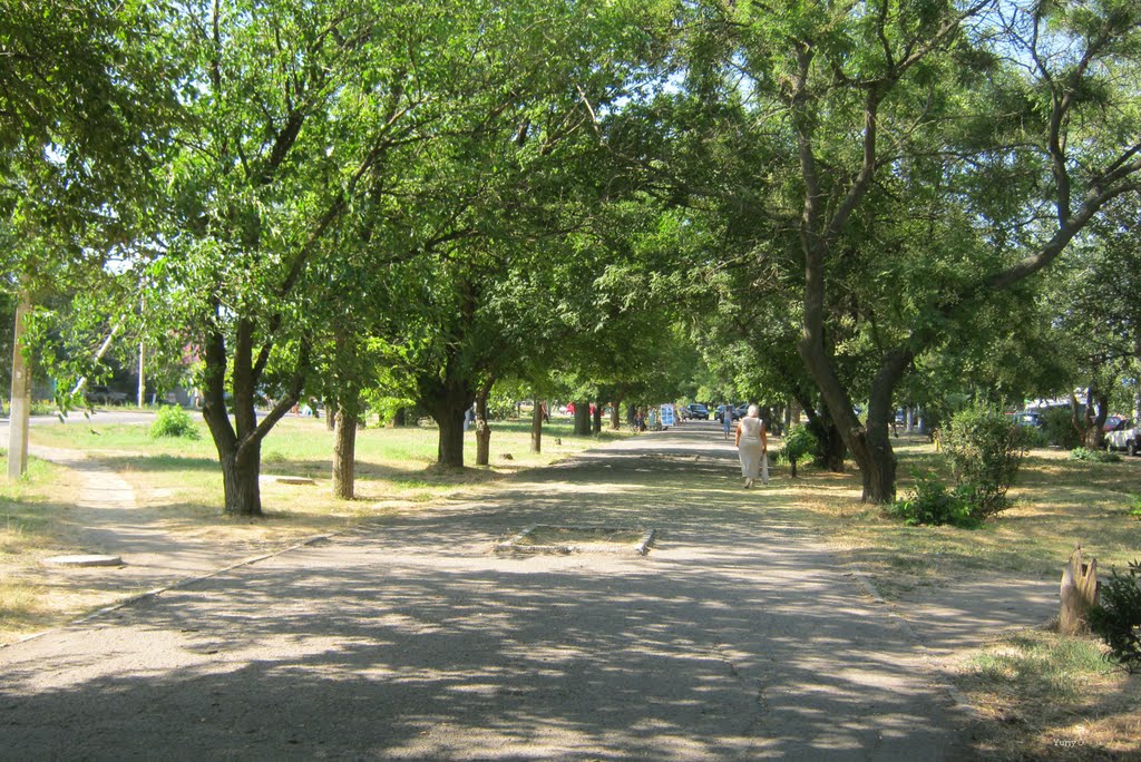В сквере