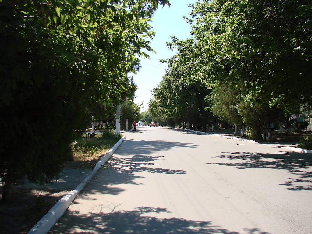 ул. Махарадзе, г. Геническ, Херсонская область, Украина