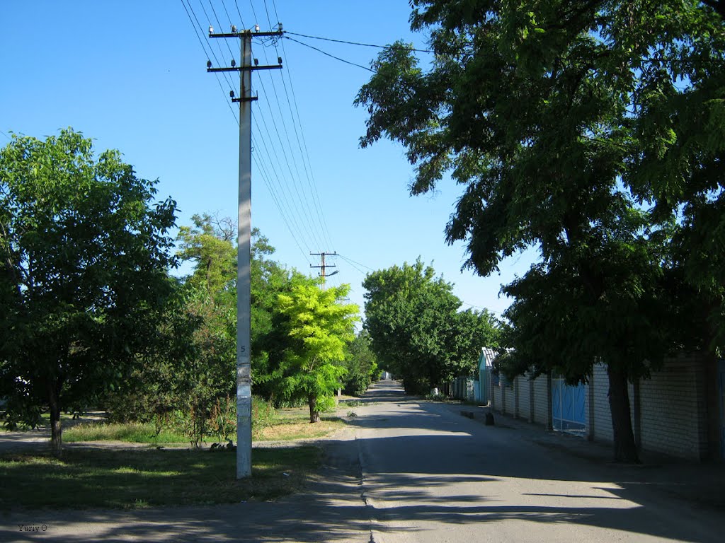 Улица Суворова