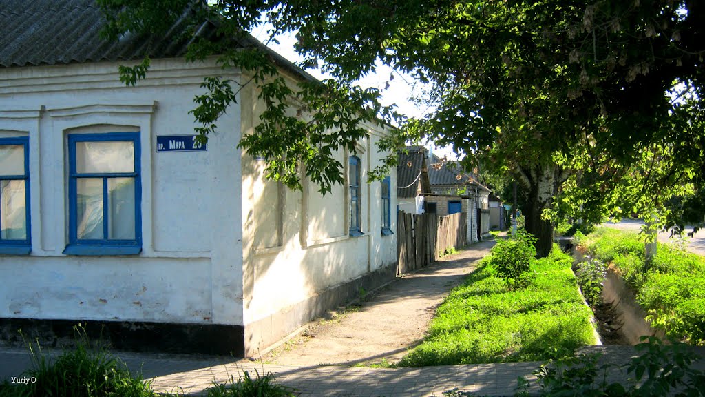 проспект Мира, 20