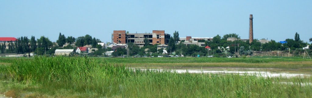 Геническ