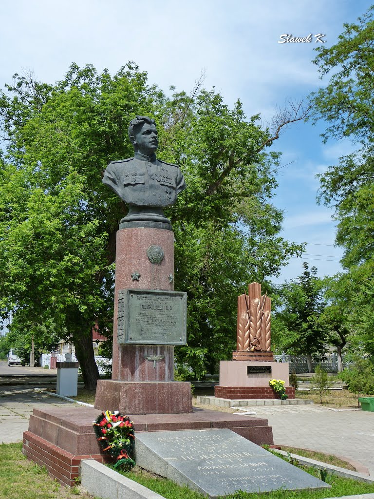 Покришев П.О.