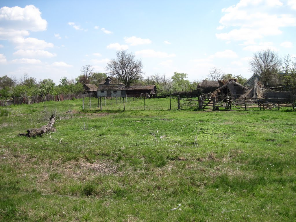 Остров Белогрудов