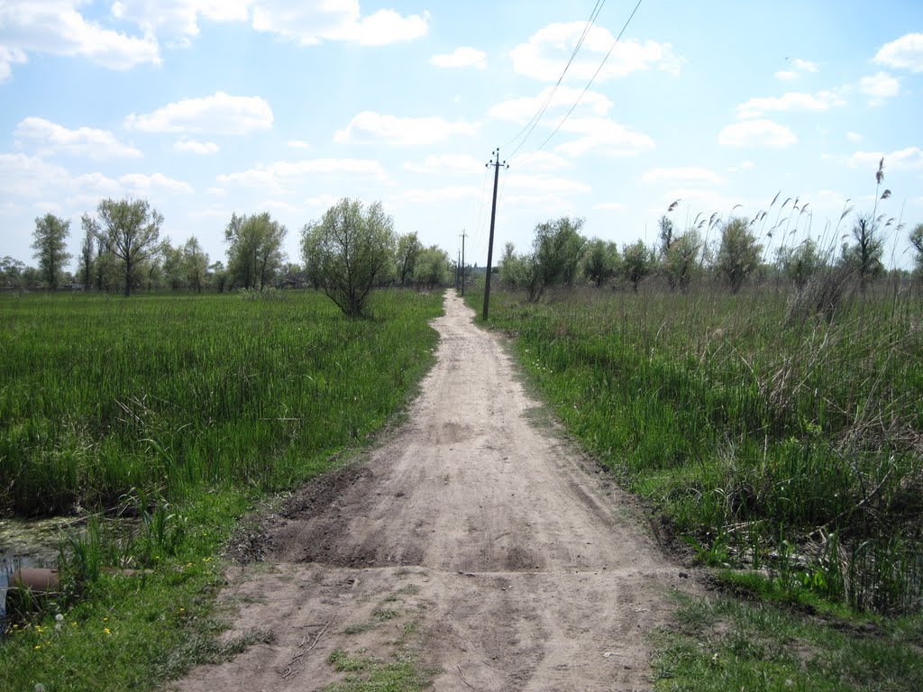 остров Белогрудов