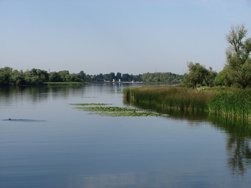 Dnepr in summer