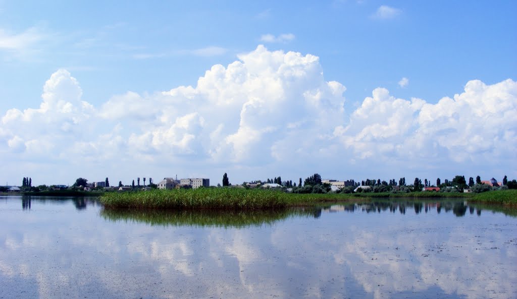 Озеро Солёное.  2010/06/27