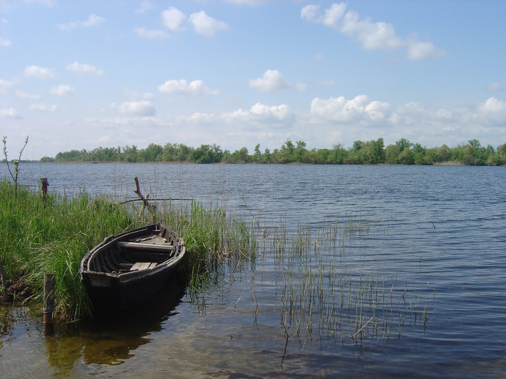 Белогрудово_плавни