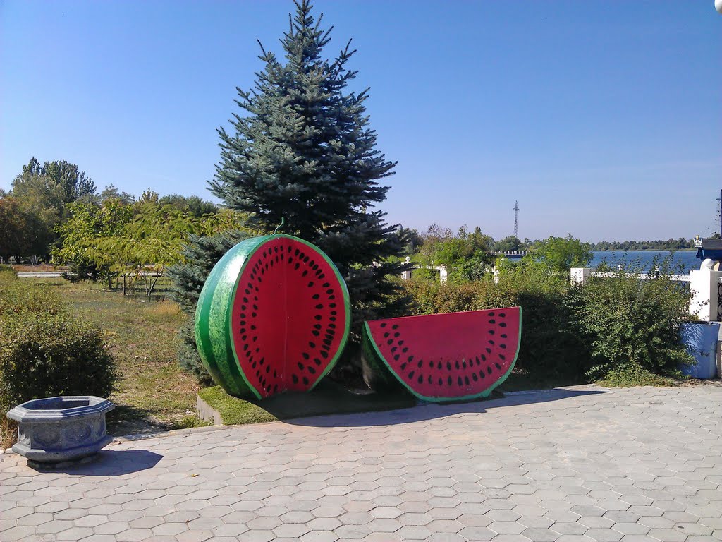 Арбуз