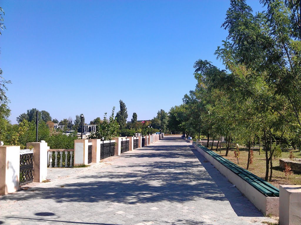 alley of riverbank