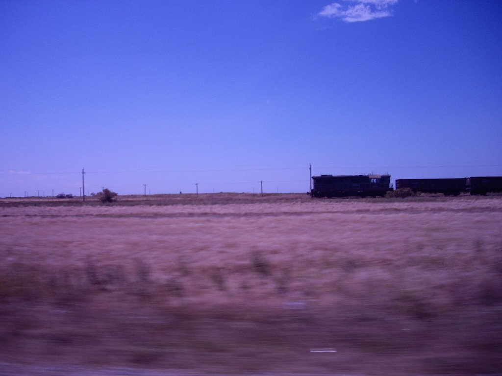 Train
