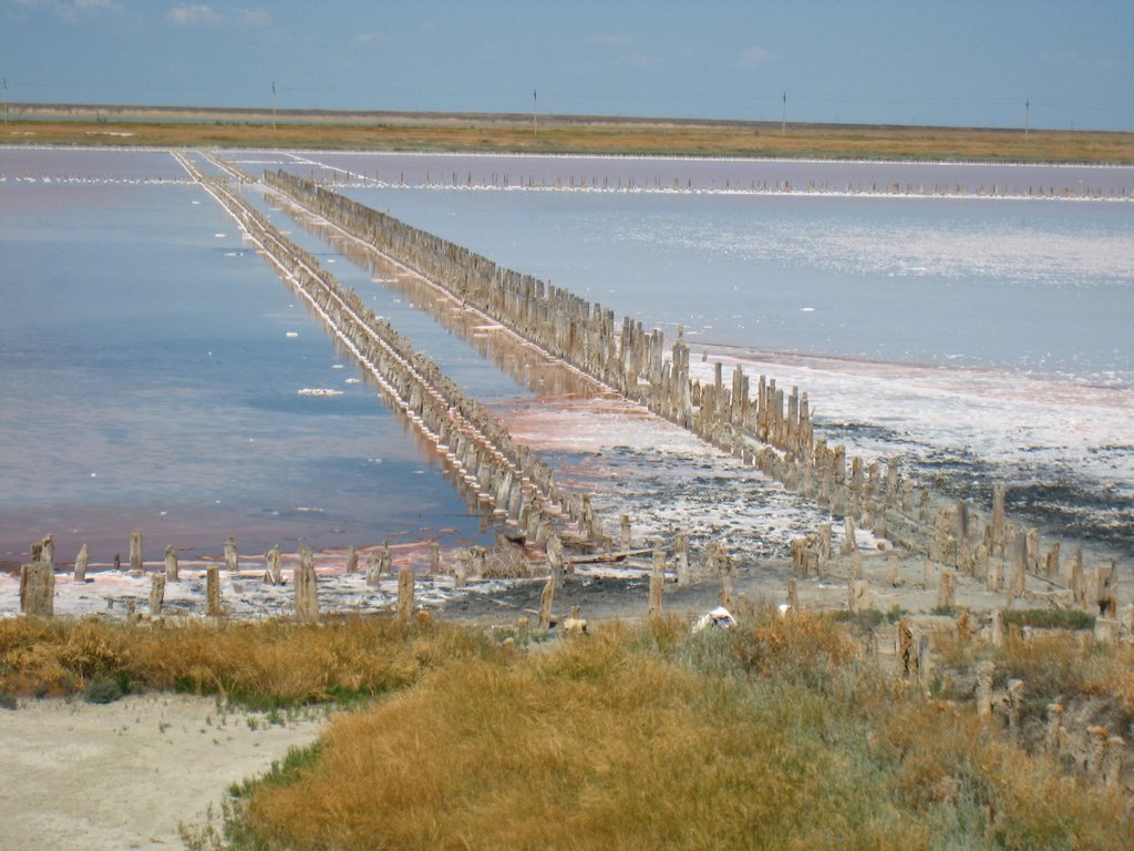Гнилое море. Rotten sea.