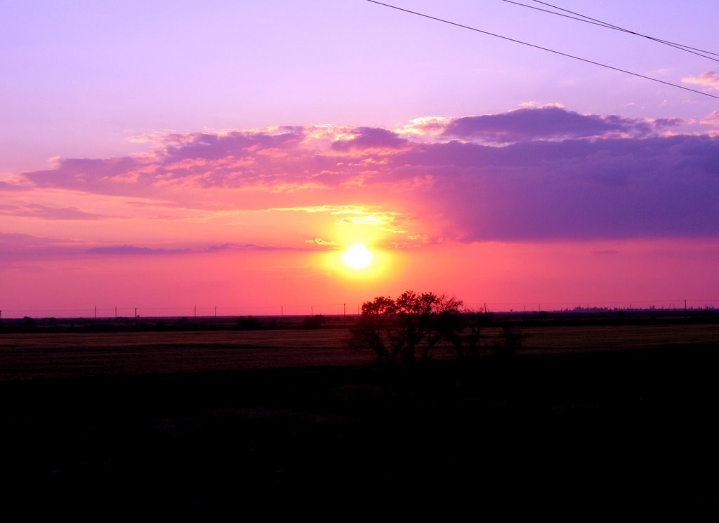 sunset
