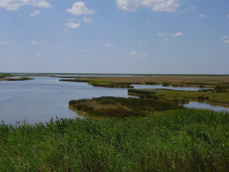 Геническ, сиваш
