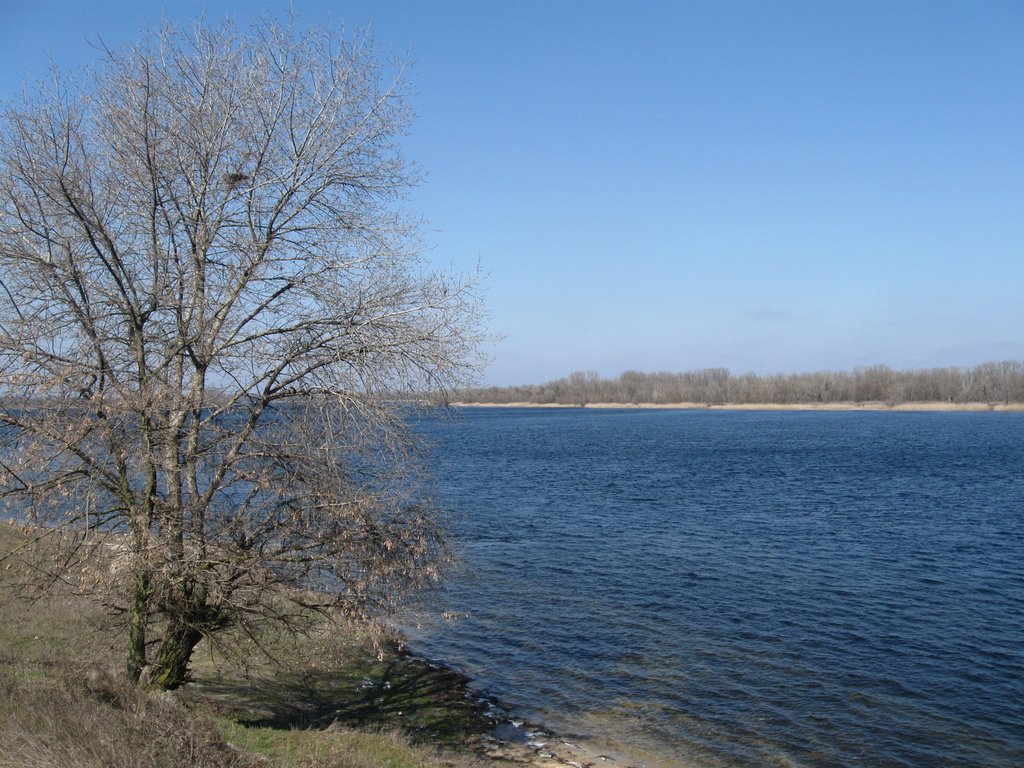 Река моего детства. Днепр.