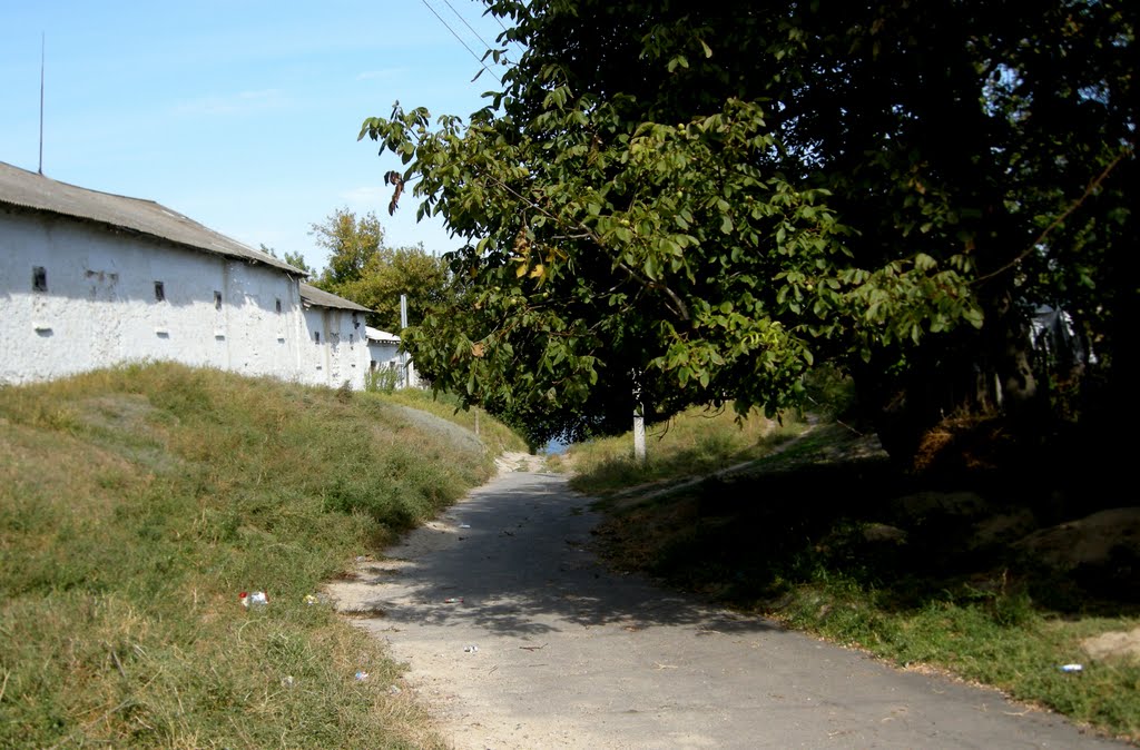 Спуск