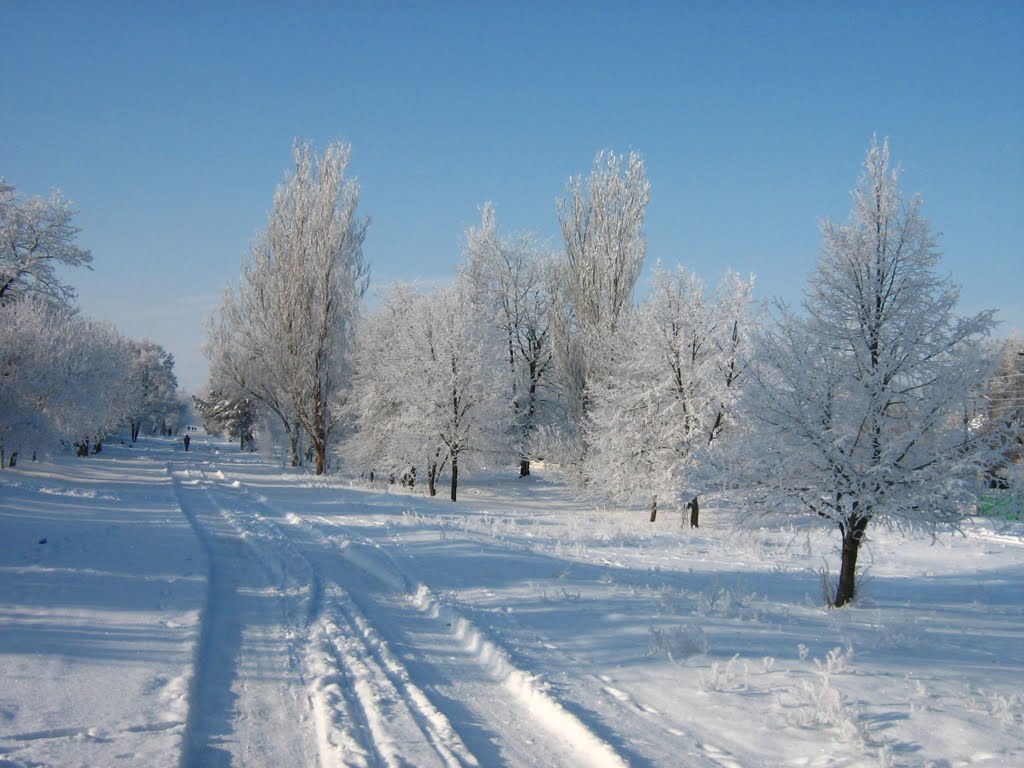 Зима на Советской улице (январь 2011)