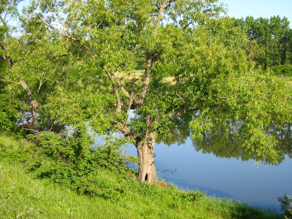 Ингулец_8