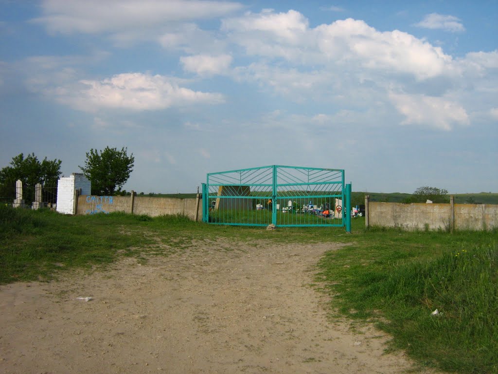 Kalynivske