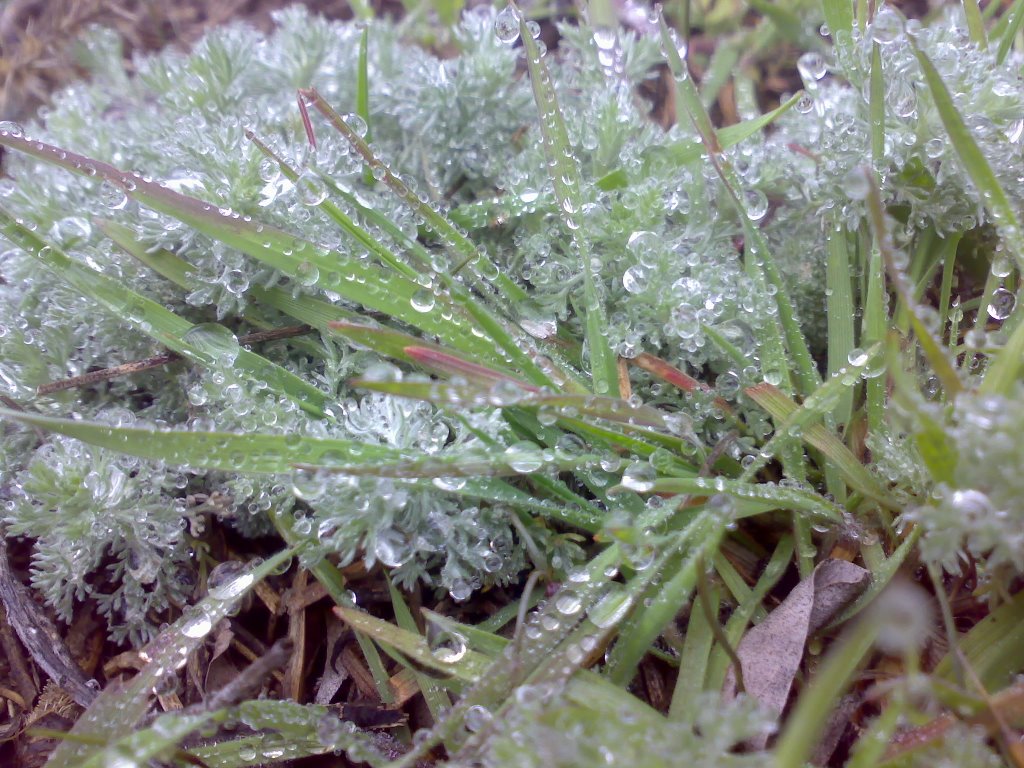 Cristal nature