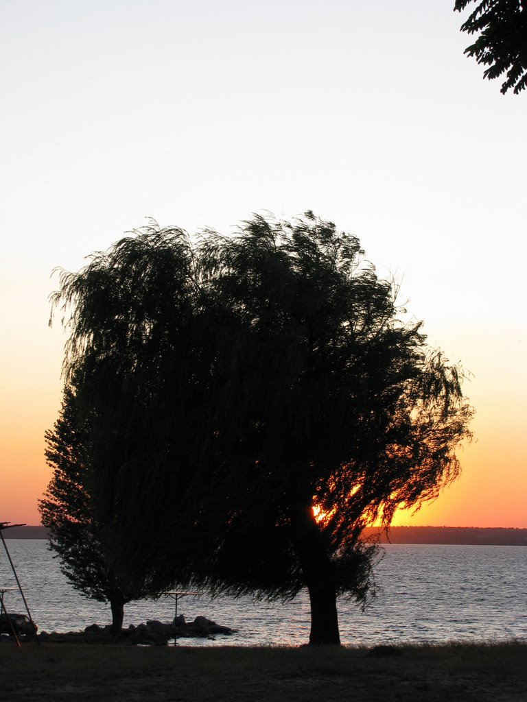 В объятьях ветра. / Embraced with the wind.