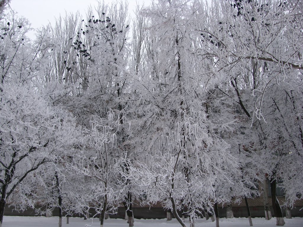Скверик возле учкомбината.