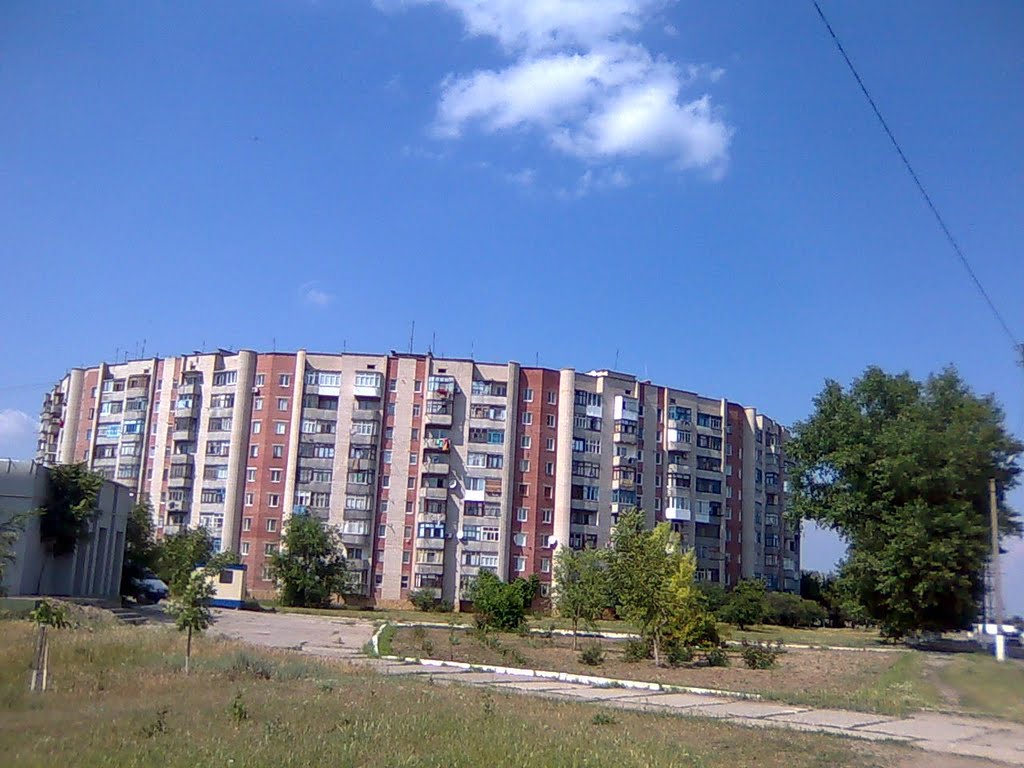 Круглий будинок