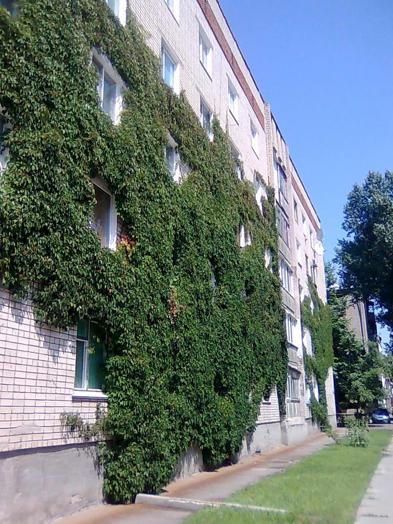 Зеленій дім