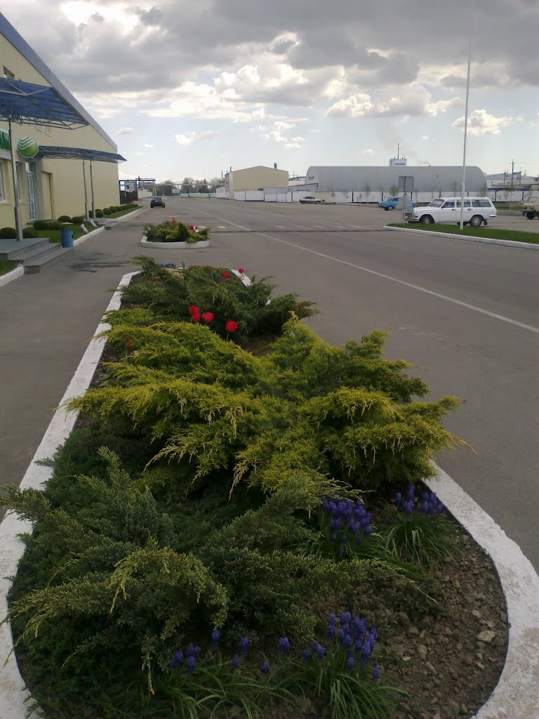 Клумби