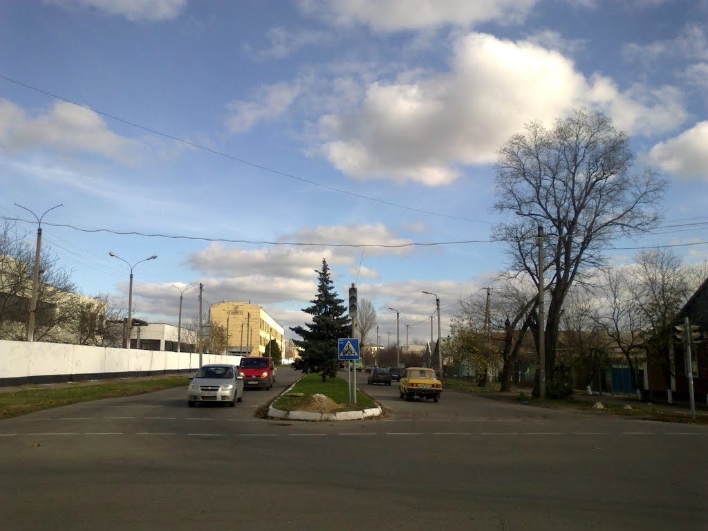 Вулиця Івана Золіна