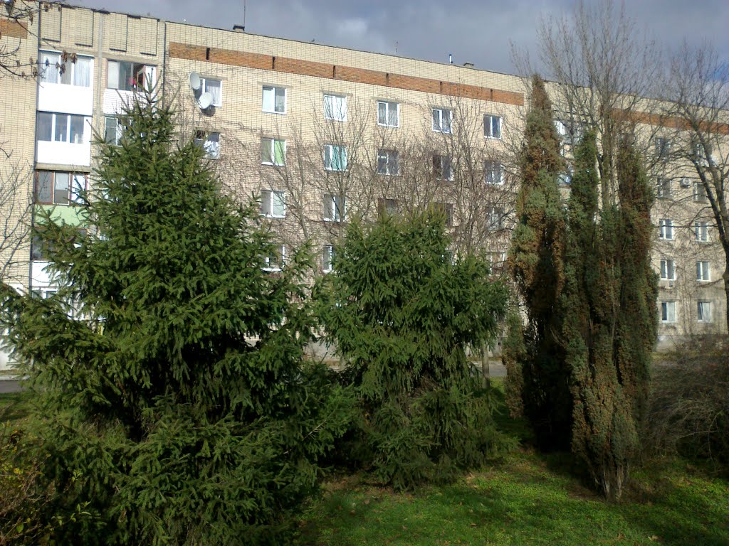 Зелень