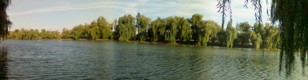 Старая панорама речки
