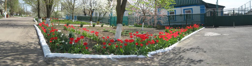 Улица Ленина, Апрель.