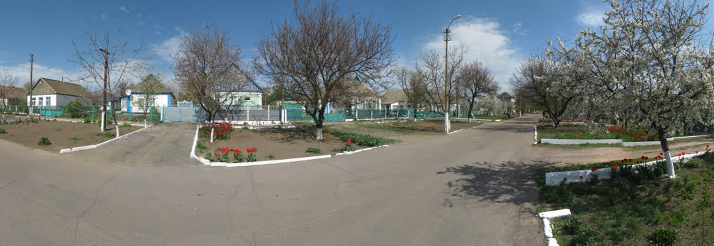 Улица Ленина. Апрель. Панорама.