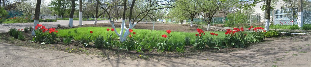 Nyzhni Sirohozy