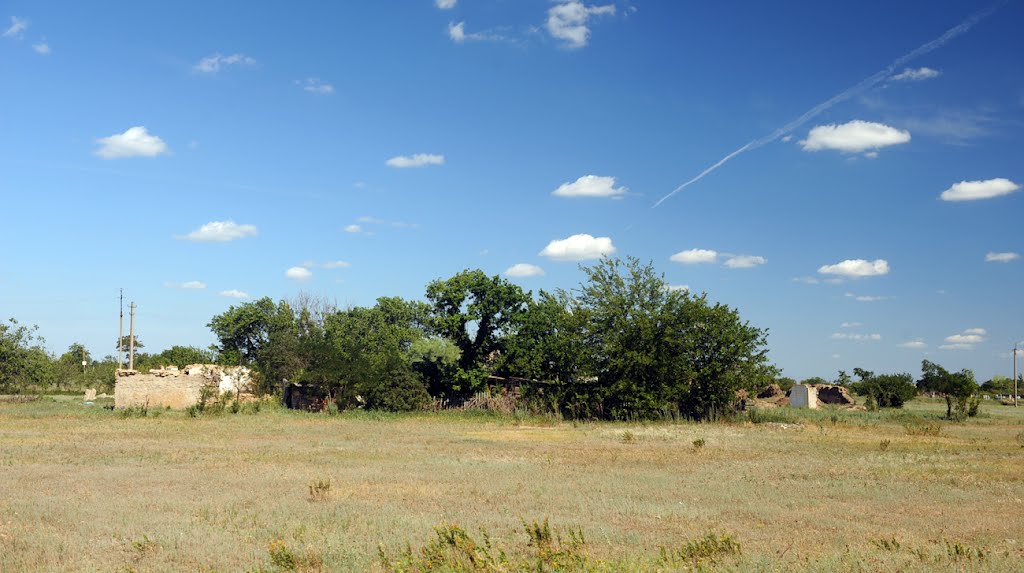 2012