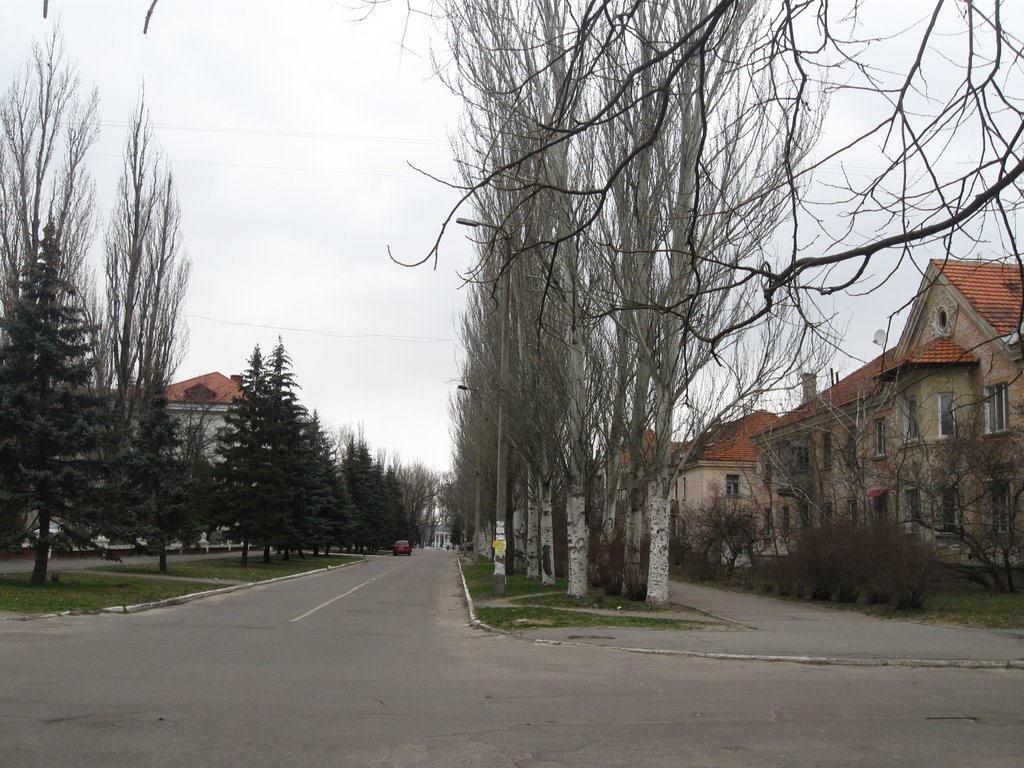 Улица Комсомольская